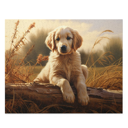 Golden Retriever Puppy