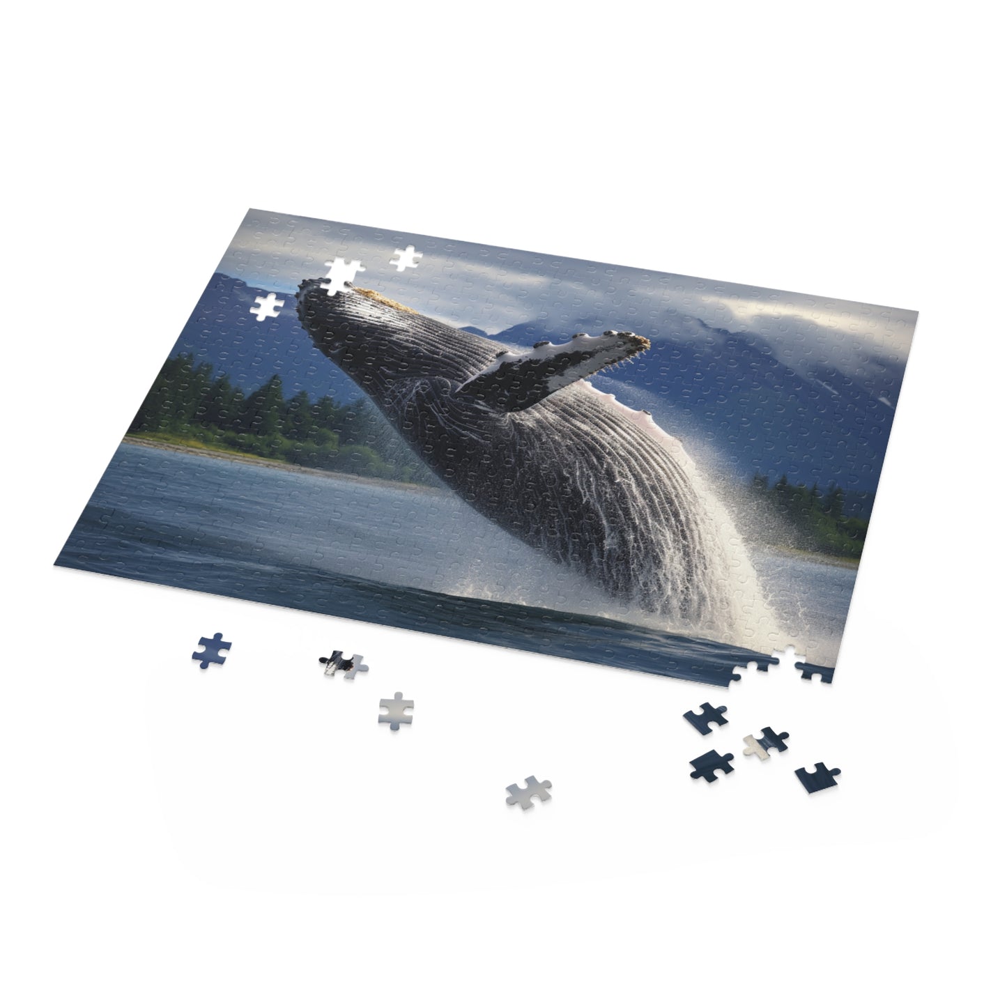 Humpback Whale