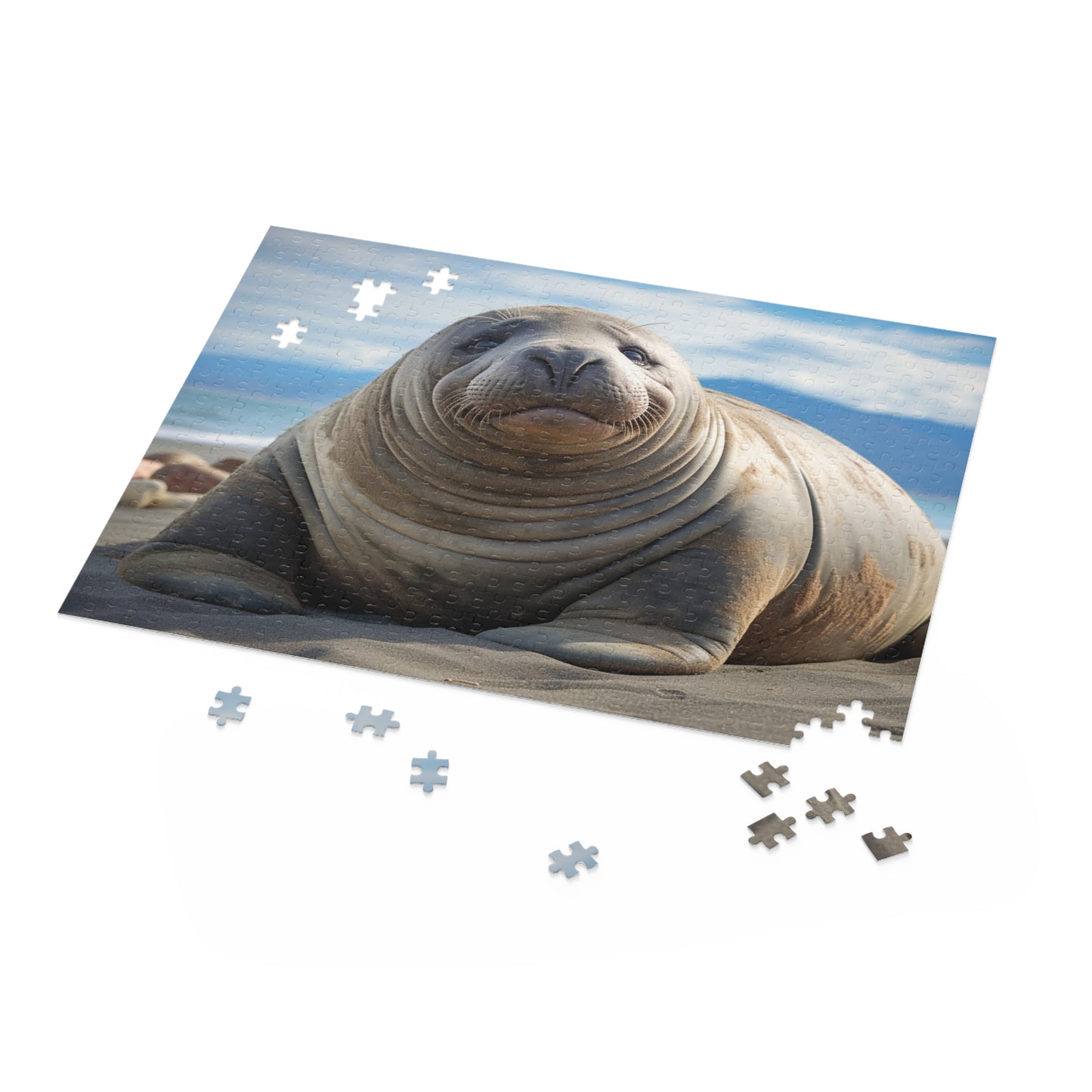 Elephant Seal