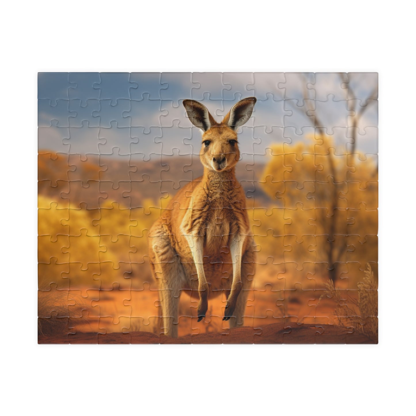 Kangaroo