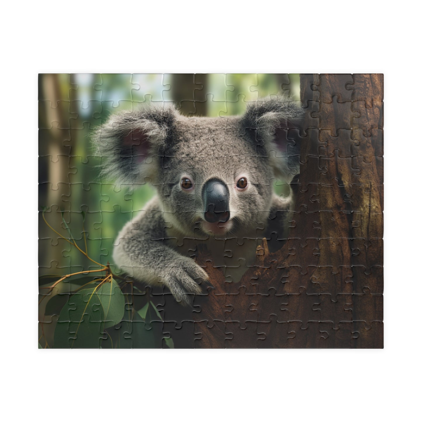 Koala