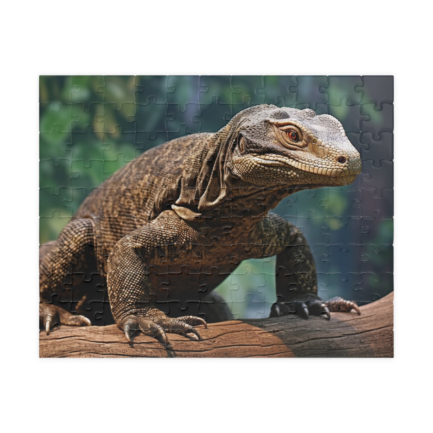 Komodo Dragon