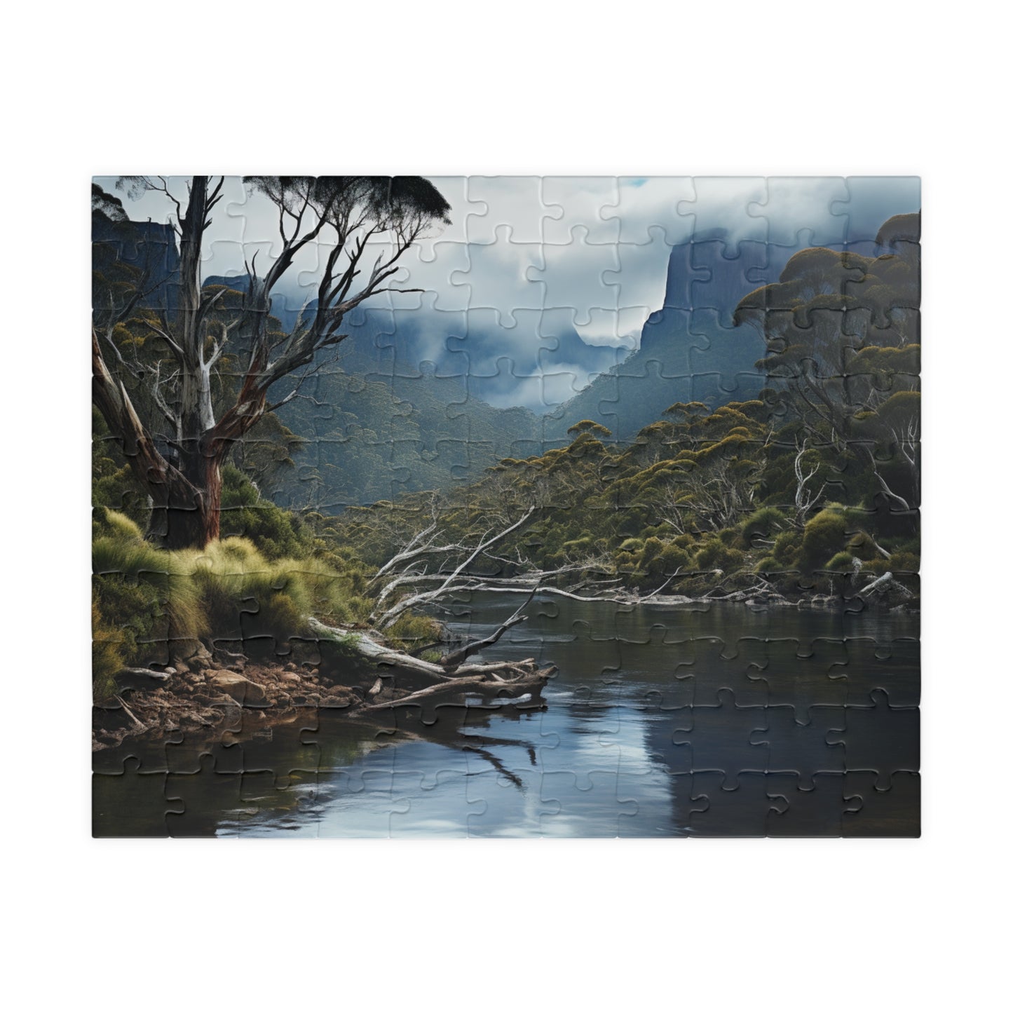 Tasmania Forest