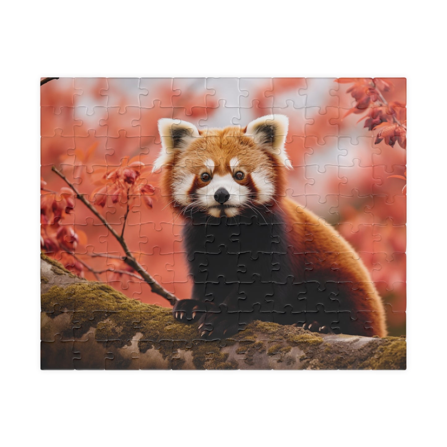 Red Panda