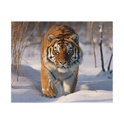 Siberian Tiger