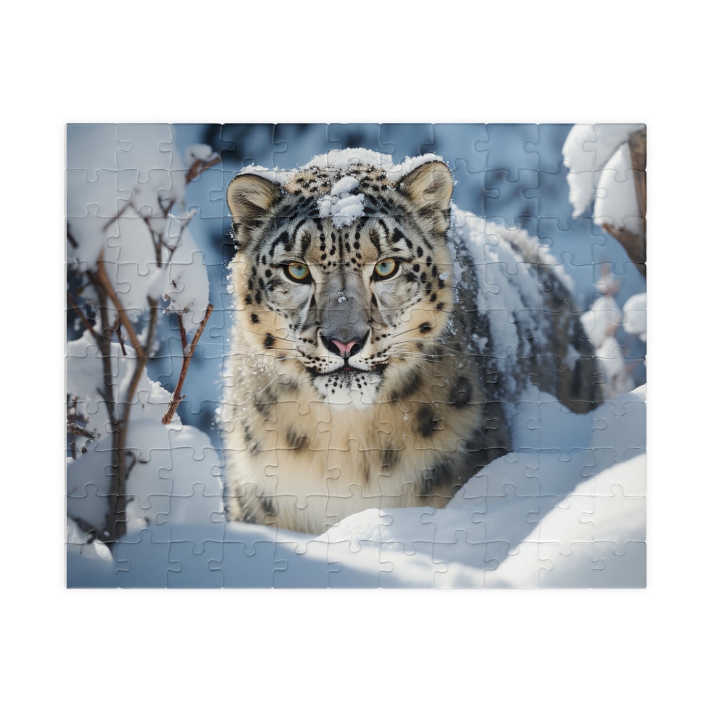 Snow Leopard