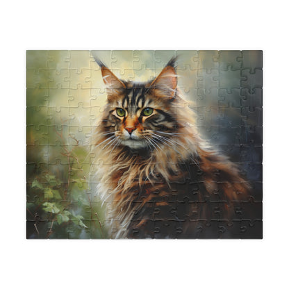 Maine Coon Cat