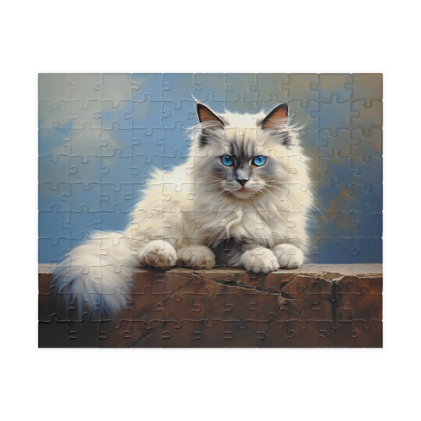 Ragdoll Cat