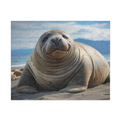 Elephant Seal