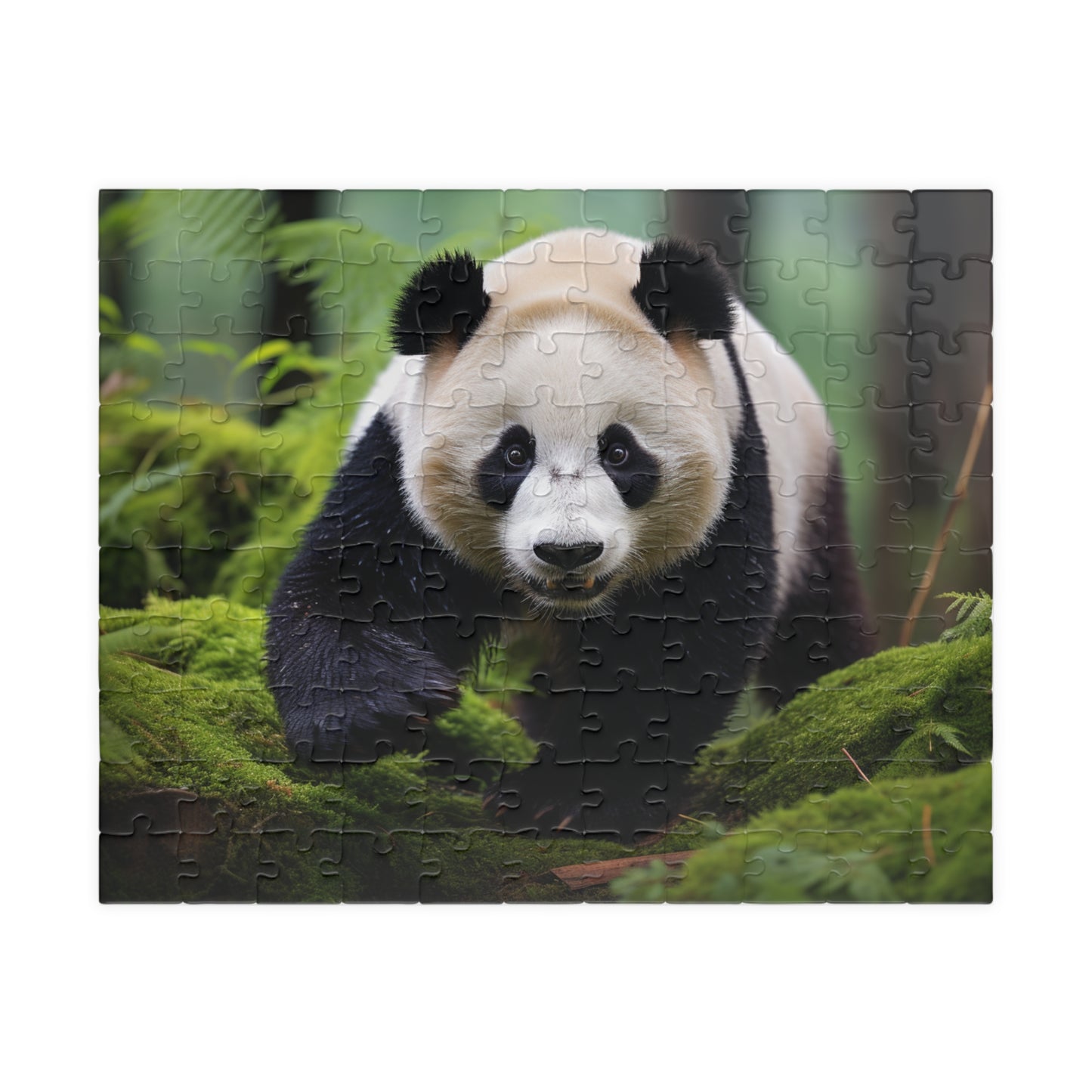 Giant Panda