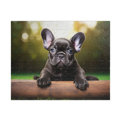 French Bulldog Puppy