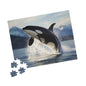 Killer Whale