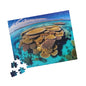 Great Barrier Reef Coral