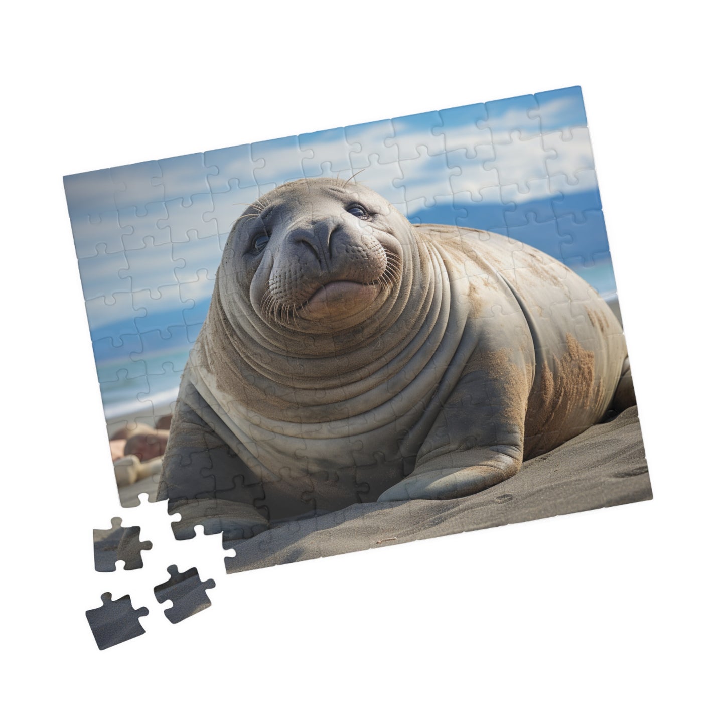 Elephant Seal